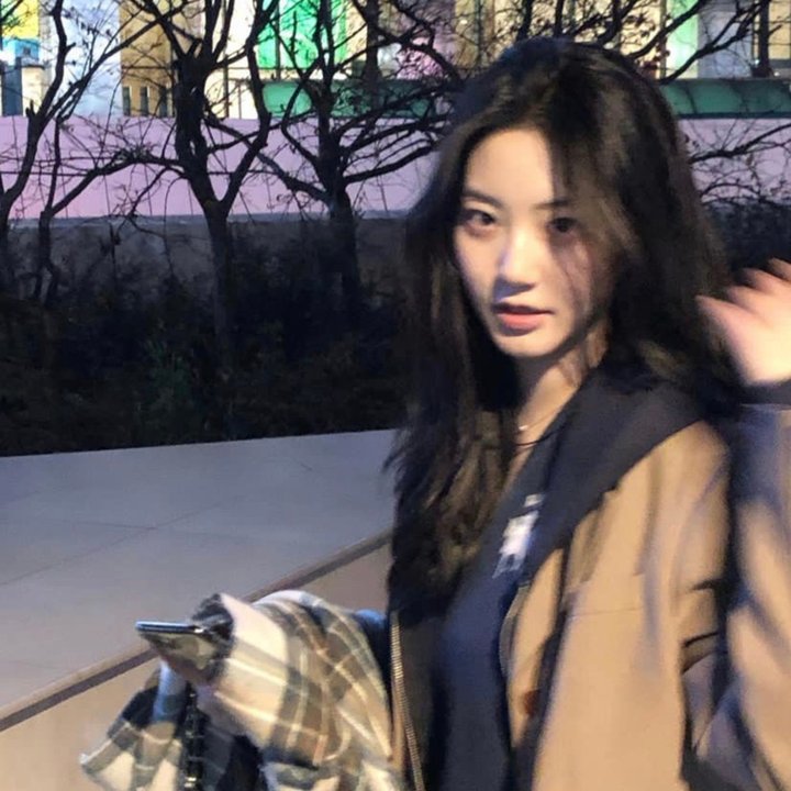 好像一条狗